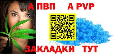 индика Камышлов