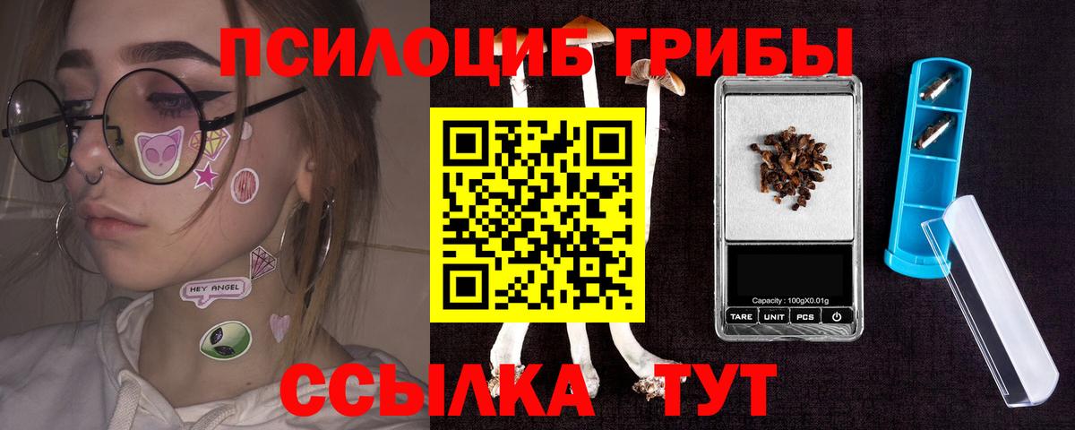 Галлюциногенные грибы прущие грибы  Вход с VPN  Луховицы 